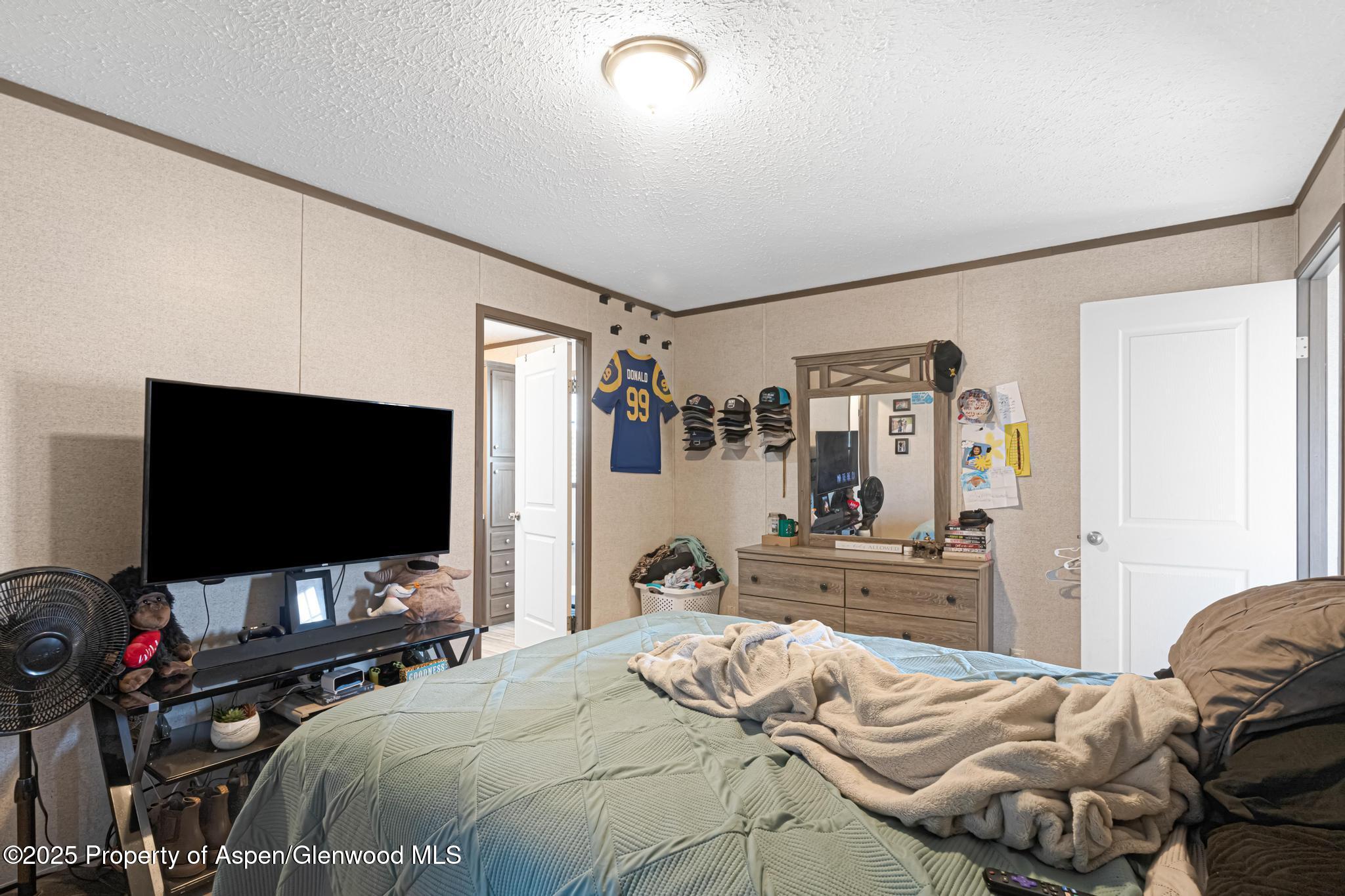 42 Silverton Place Parachute, CO 81635 - Photo 11 of 28 DSC07901