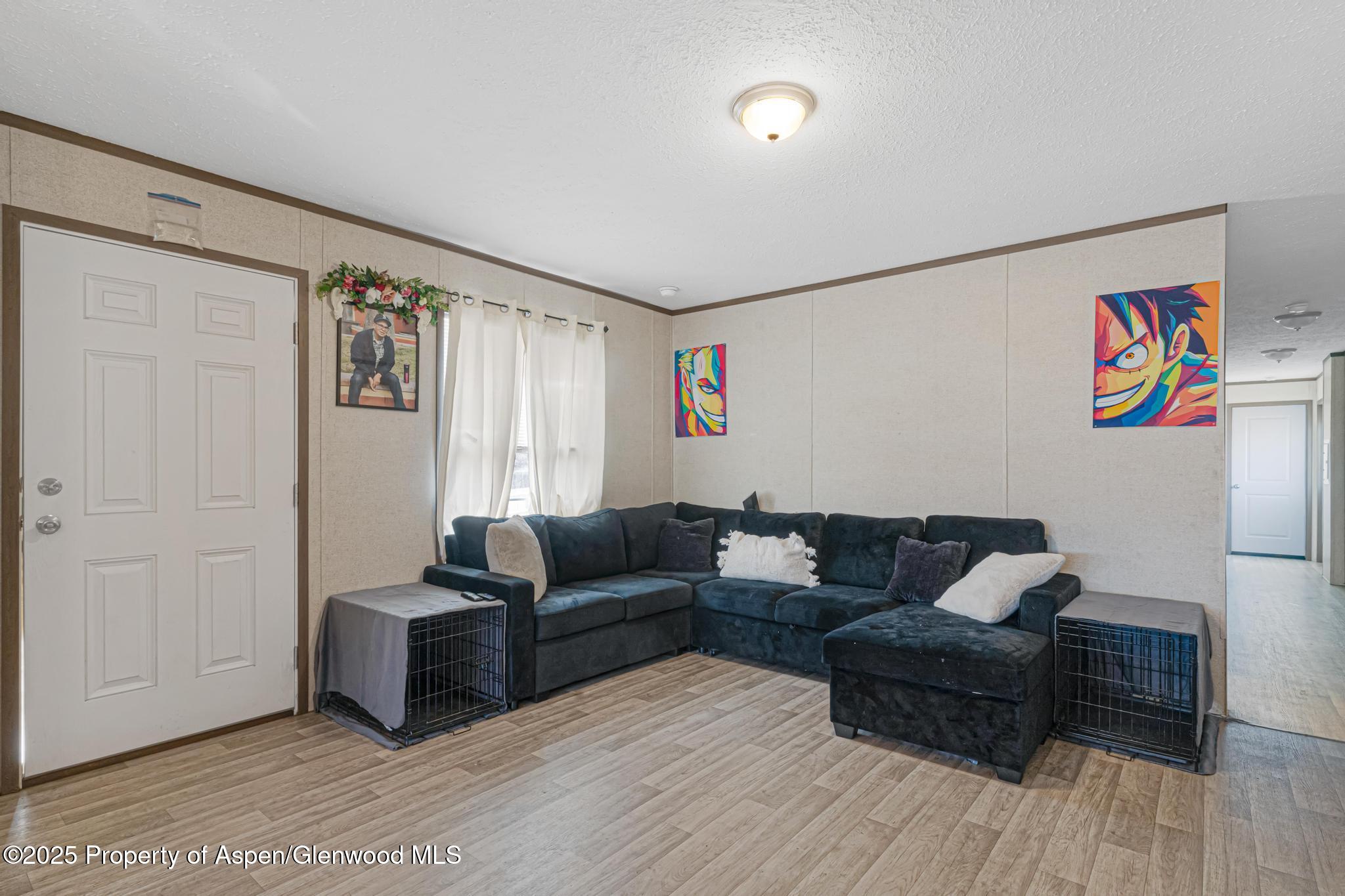 42 Silverton Place Parachute, CO 81635 - Photo 3 of 28 DSC07919