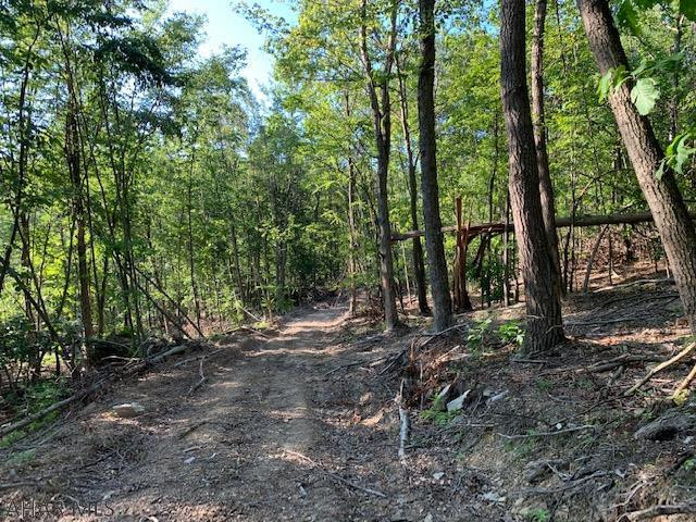 1009 A Six Mile Run Road Six Mile Run, PA 16679 - Photo 32 of 47 Gallery Image 32