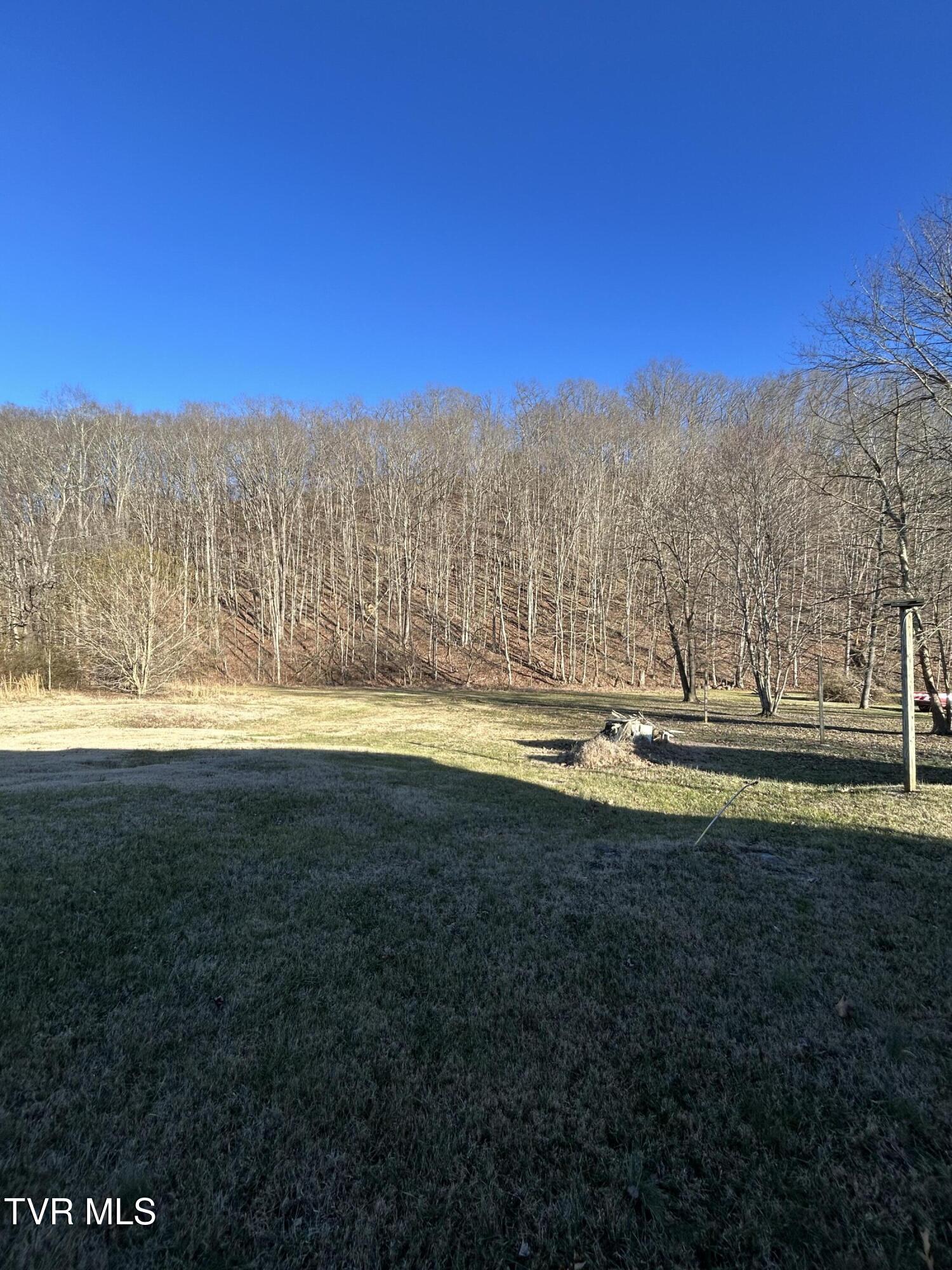 165 Dove Lane Gray, TN 37615 - Photo 5 of 5 IMG_8200