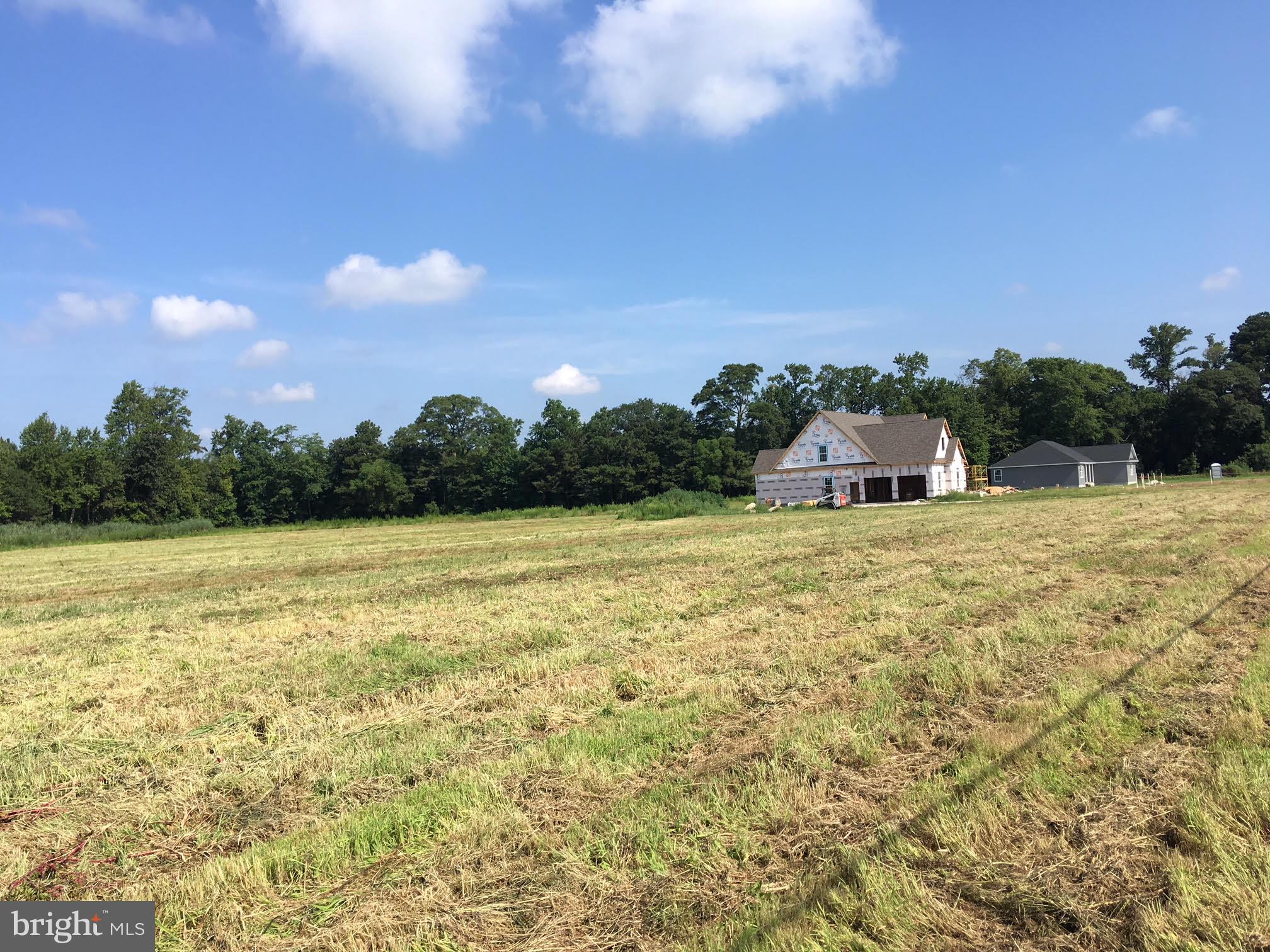 Lot 5 Old Stage Road Laurel, DE 19956 - Photo 3 of 7