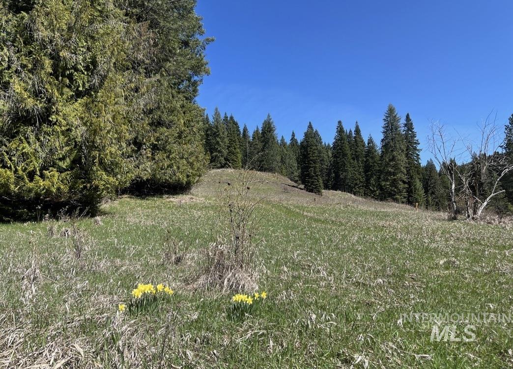 936 Red Fir Road Kooskia, ID 83539 - Photo 6 of 29