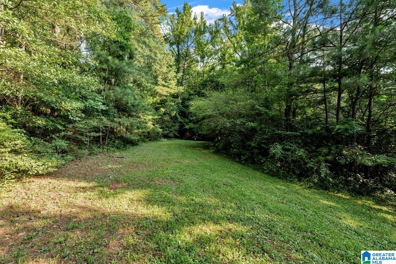 1431 Empire Road Empire, AL 35063 - Photo 5 of 37