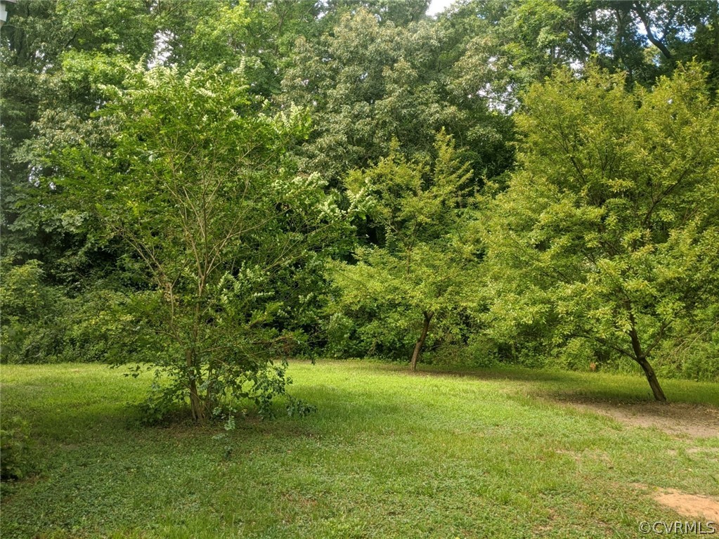 19824 Halifax Road Carson, VA 23830 - Photo 28 of 33 Gallery Image 28