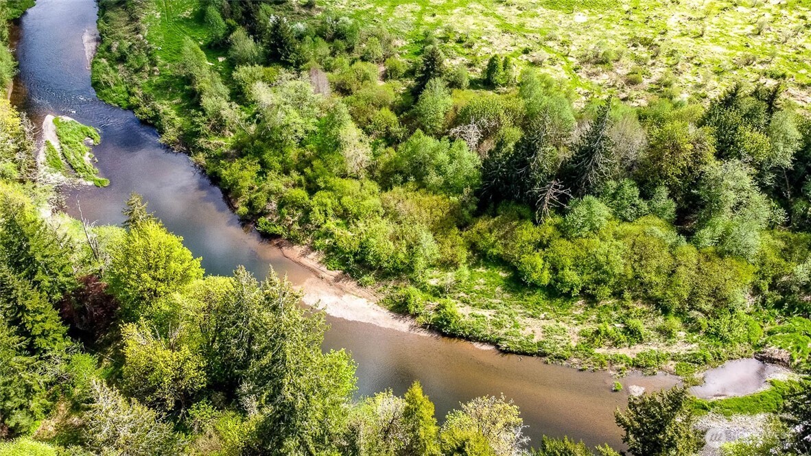 3898 State Route 6 Chehalis, WA 98532 - Photo 11 of 33 a view of a garden with a flower