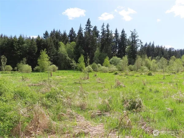 a view of a garden with a houses