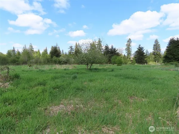 a view of field with trees in the background