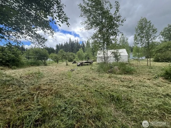 a view of outdoor space with trees all around