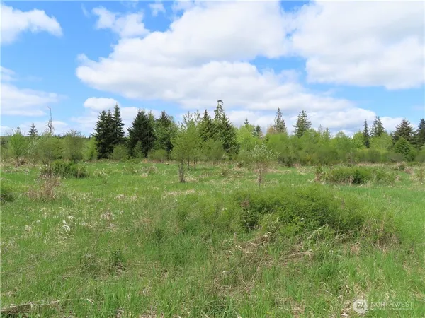 a view of a field of grass and trees