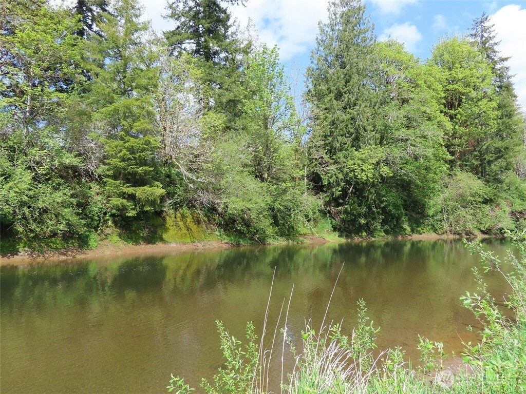 3898 State Route 6 Chehalis, WA 98532 - Photo 20 of 33 a view of lake