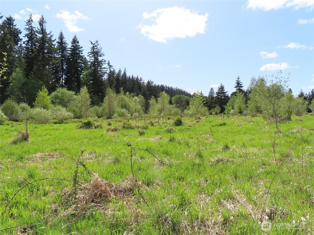 3898 State Route 6 Chehalis, WA 98532 - Photo 23 of 33 a view of a lush green outdoor space with a lake view and mountain view