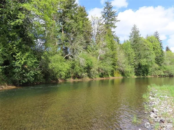 a view of a lush green space