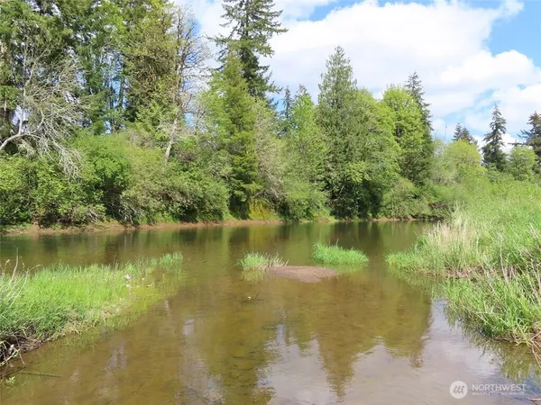 a view of a forest with trees