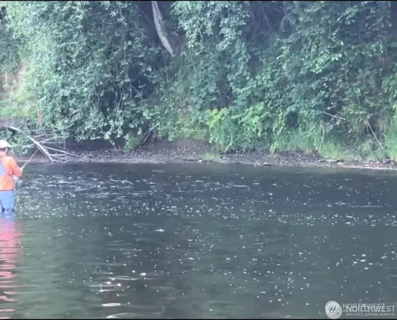 a view of a forest with trees in the background