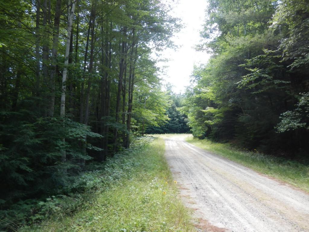 Valley View Road, Unit 14 Easton, NH 03580 - Photo 1 of 22