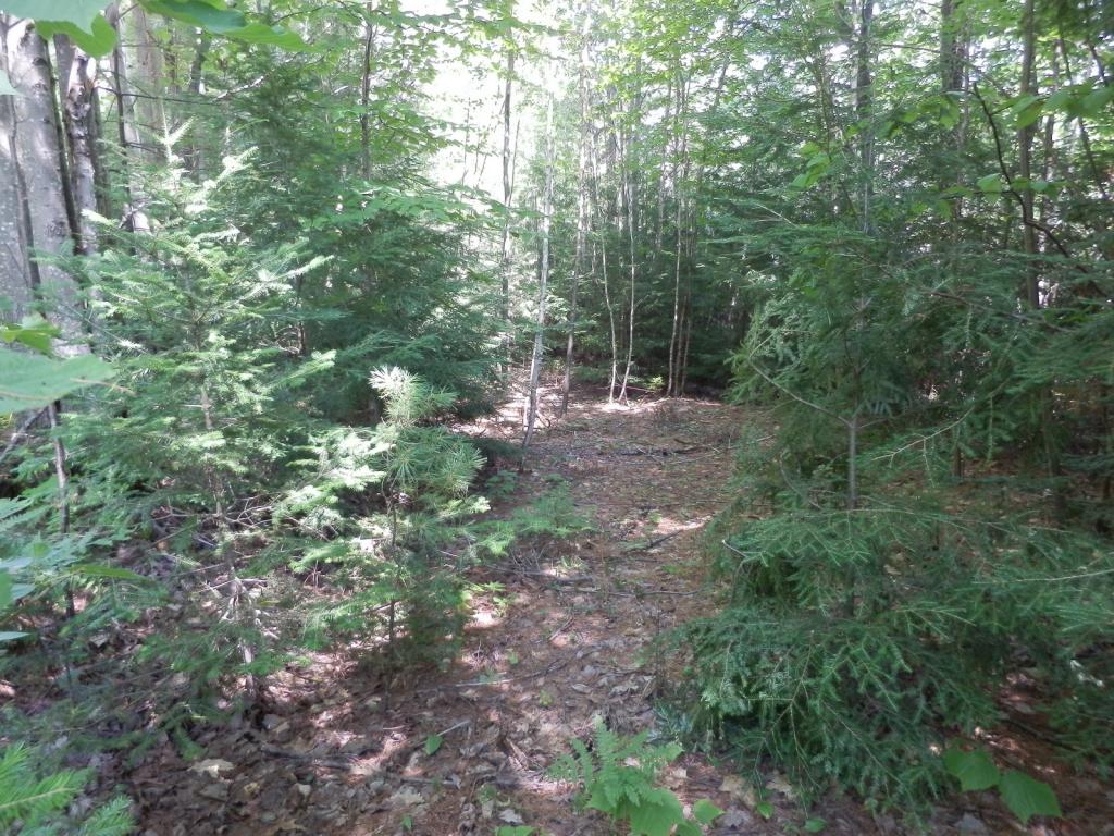 Valley View Road, Unit 14 Easton, NH 03580 - Photo 11 of 22