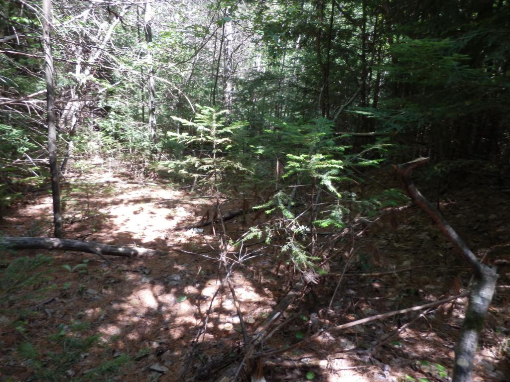 Valley View Road, Unit 14 Easton, NH 03580 - Photo 12 of 22