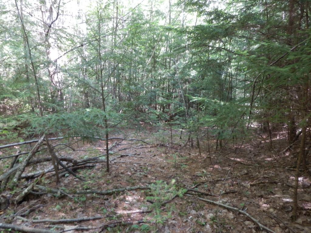 Valley View Road, Unit 14 Easton, NH 03580 - Photo 13 of 22