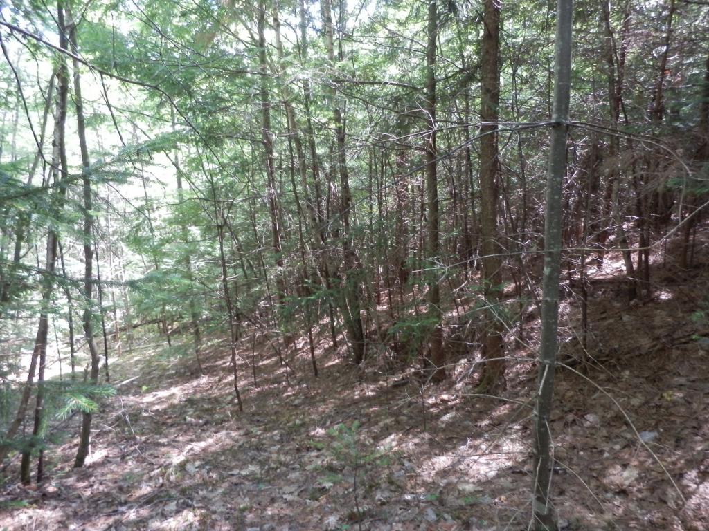 Valley View Road, Unit 14 Easton, NH 03580 - Photo 14 of 22