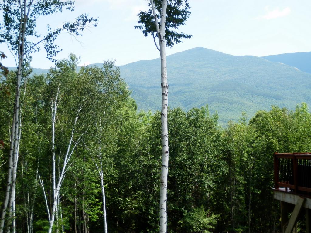 Valley View Road, Unit 14 Easton, NH 03580 - Photo 15 of 22