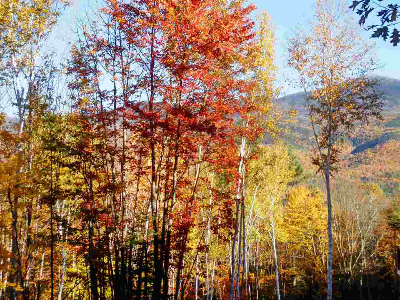 Valley View Road, Unit 14 Easton, NH 03580 - Photo 17 of 22