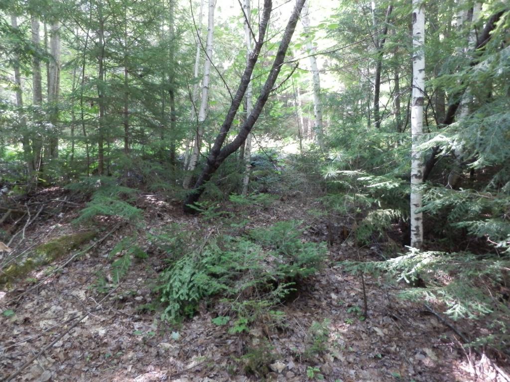 Valley View Road, Unit 14 Easton, NH 03580 - Photo 18 of 22