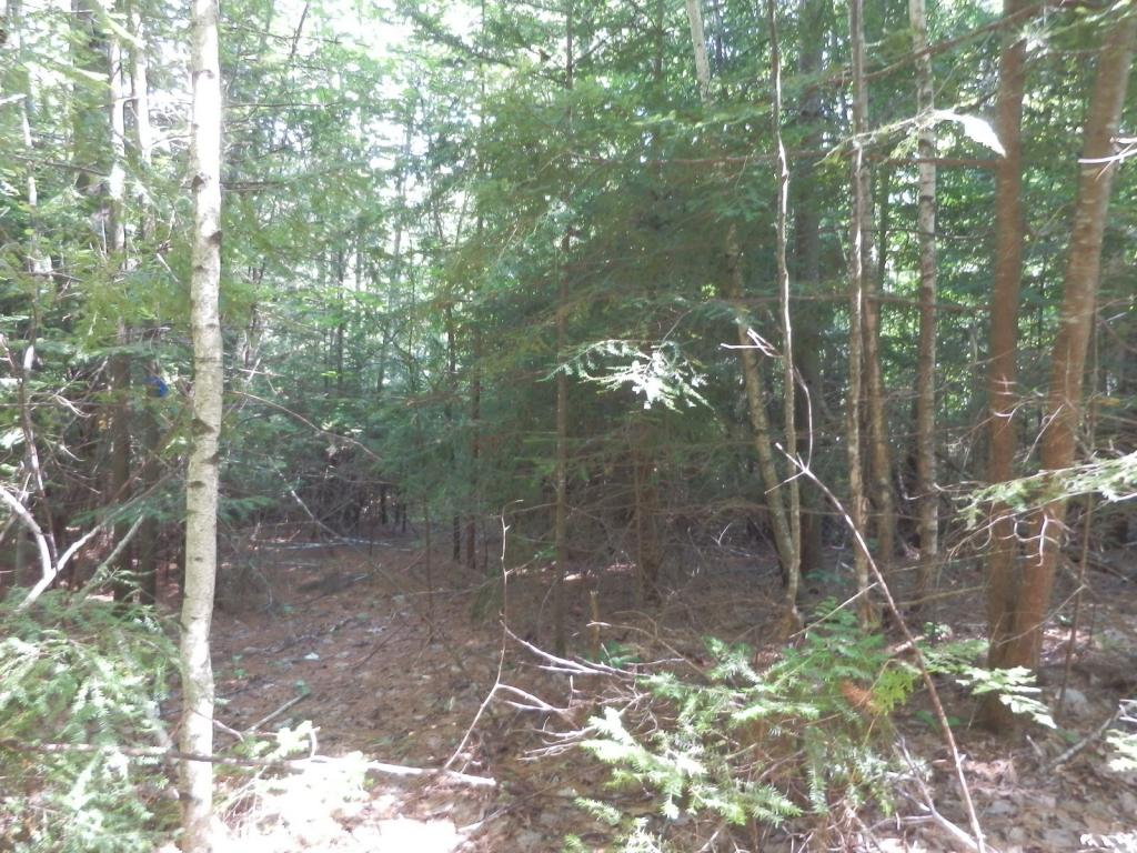 Valley View Road, Unit 14 Easton, NH 03580 - Photo 5 of 22