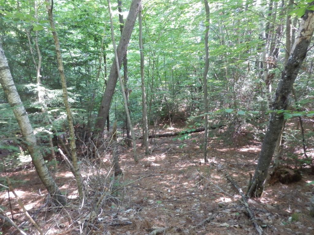 Valley View Road, Unit 14 Easton, NH 03580 - Photo 6 of 22