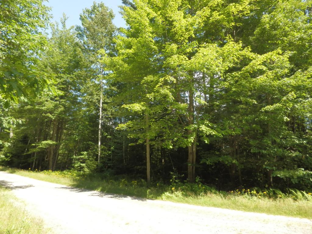 Valley View Road, Unit 14 Easton, NH 03580 - Photo 9 of 22