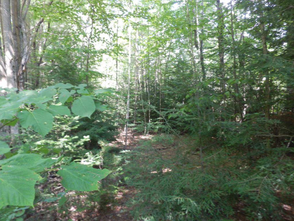 Valley View Road, Unit 14 Easton, NH 03580 - Photo 10 of 22