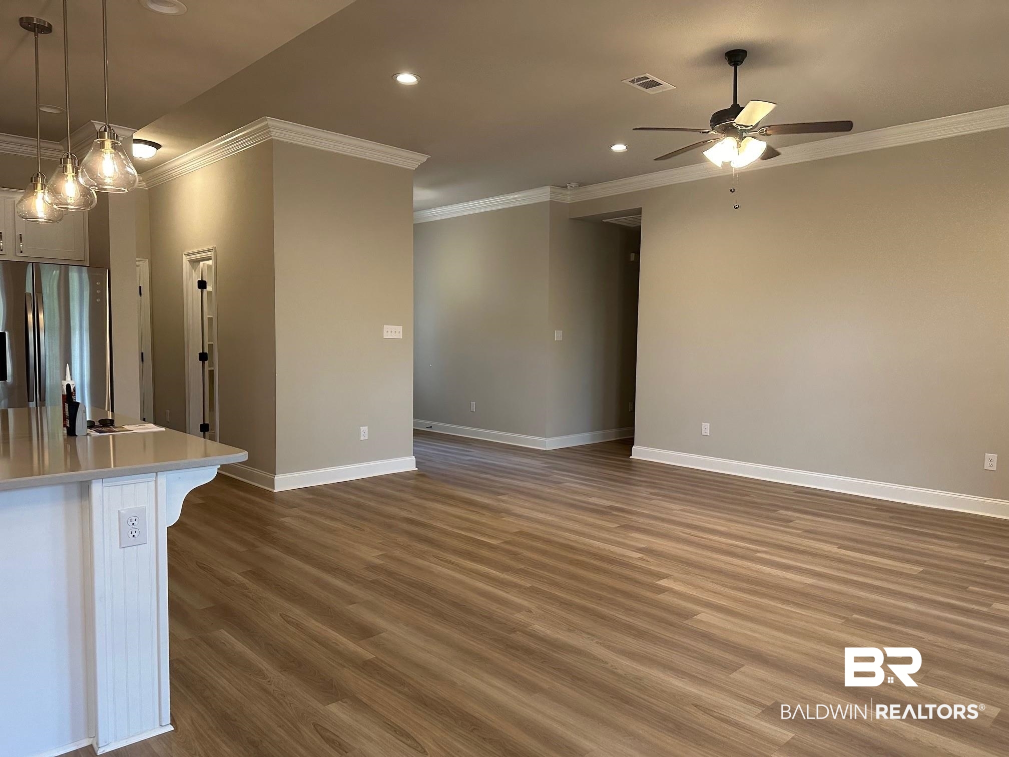 1009 Ruisseau Drive Foley, AL 36535 - Photo 25 of 55 Interior space featuring ornamental molding, ceiling fan, and dark hardwood / wood-style flooring