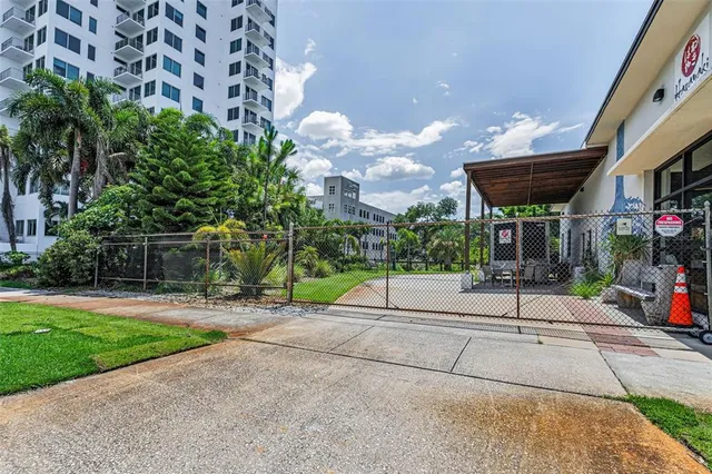 a view of a yard with plants and tree