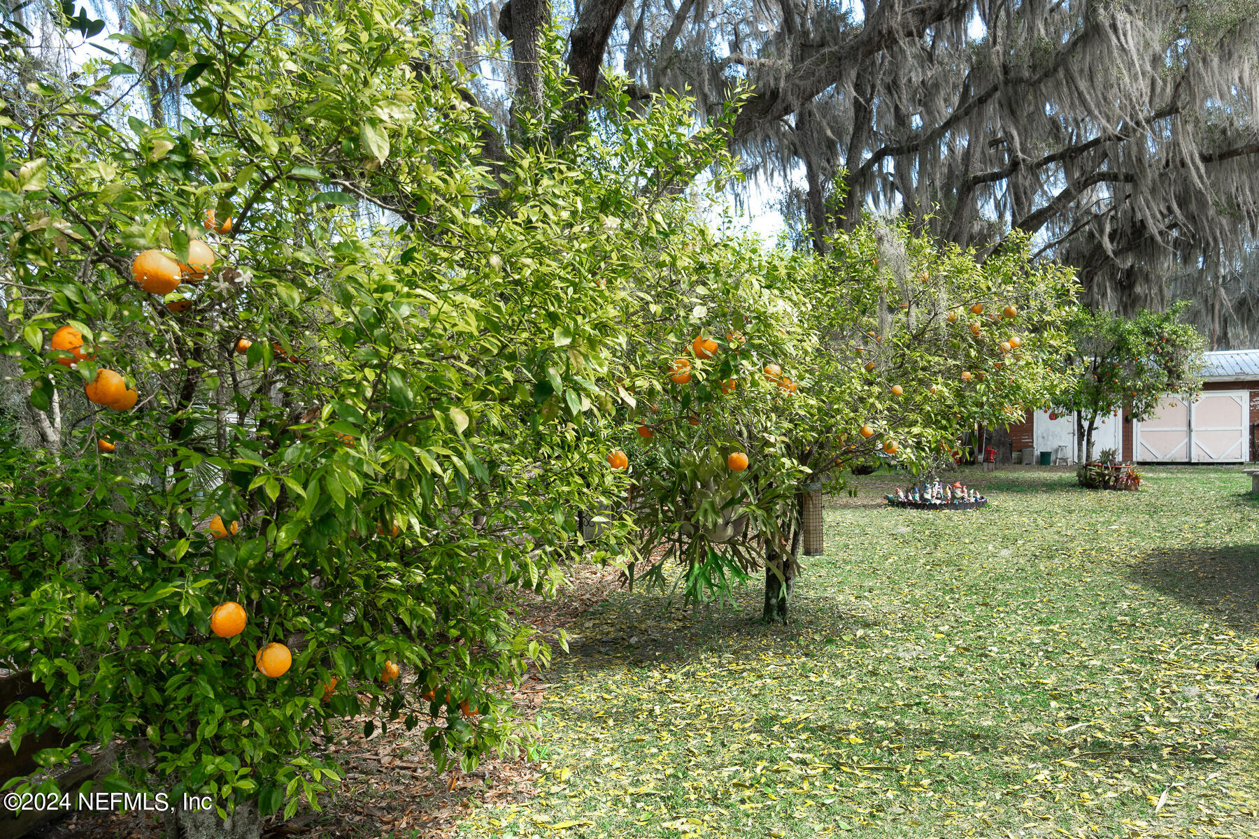 134 East End Road San Mateo, FL 32187 - Photo 41 of 45 a view of a tree in a yard