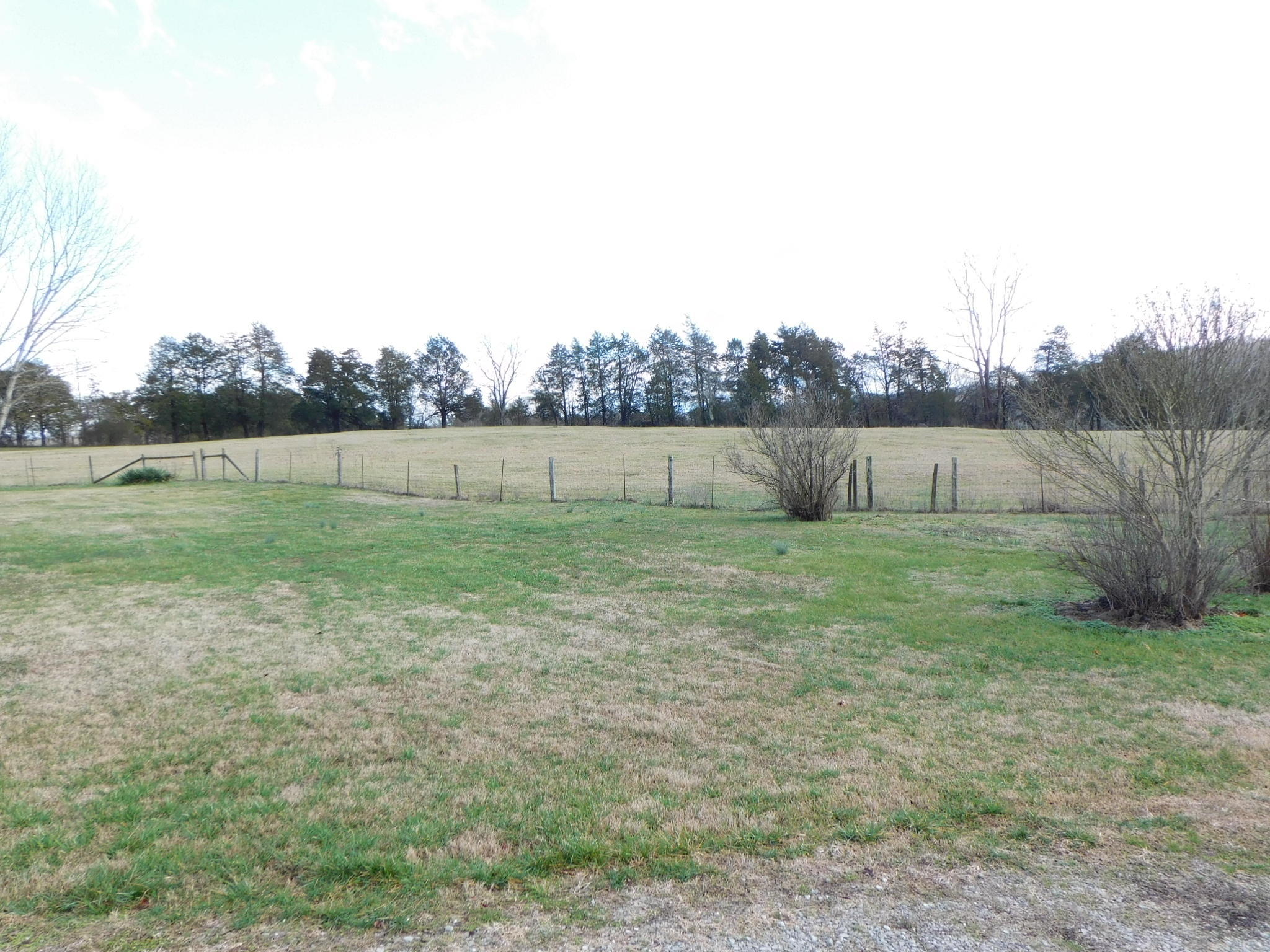280 Gene Gray Road Monticello, KY 42633 - Photo 44 of 71 DSCI0389