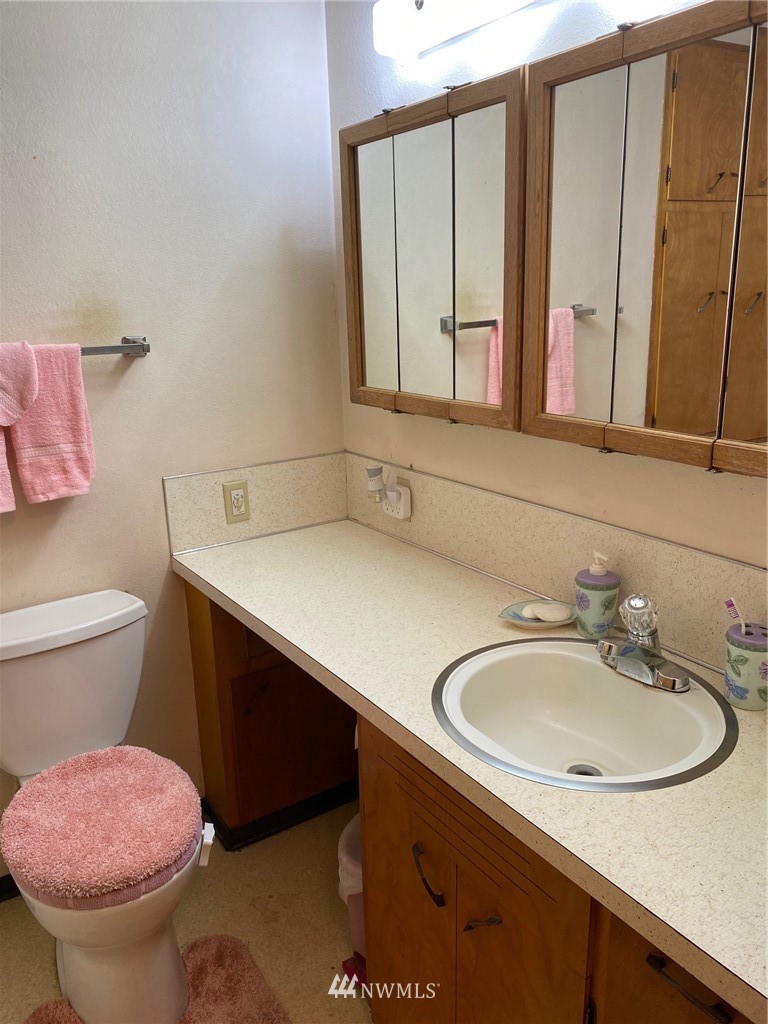 19147 Old Highway 99 Southwest Rochester, WA 98579 - Photo 19 of 27 a bathroom with a sink a toilet and mirror