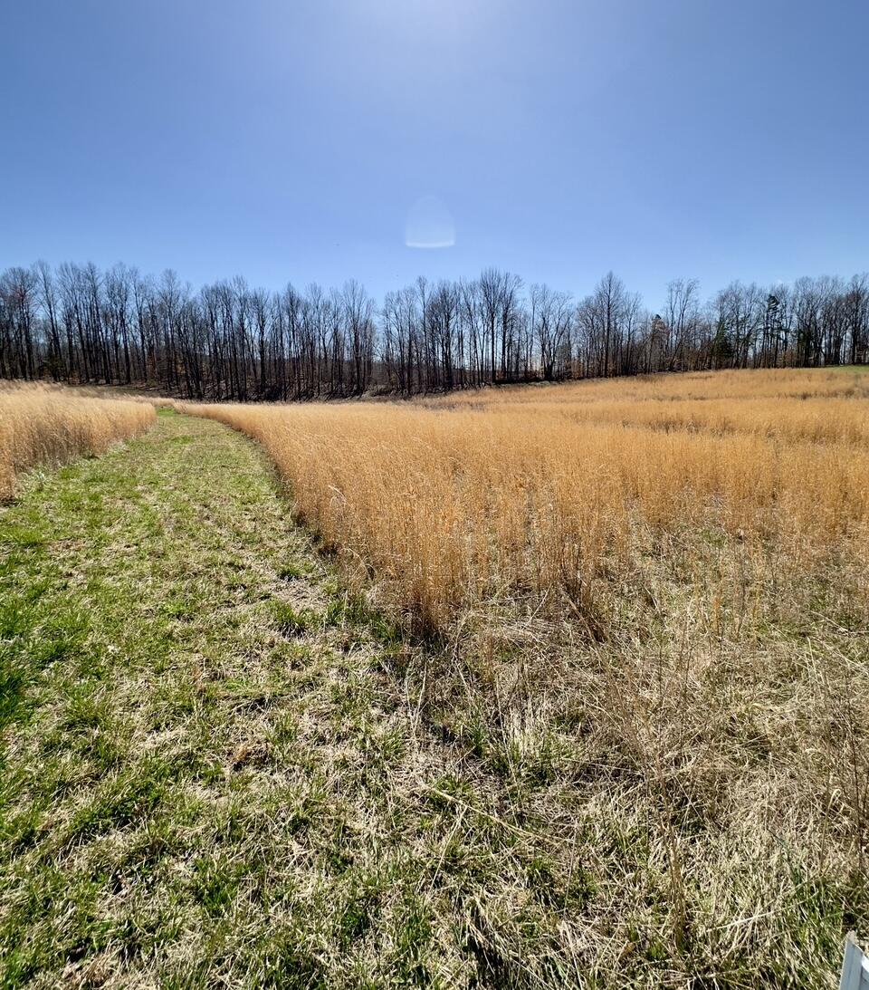 9 Mcfall Road Albany, KY 42602 - Photo 2 of 4 IMG_7685