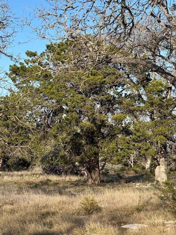 Lot 59 Cliff View Harper, TX 78631 - Photo 2 of 7 a view of a yard with a tree