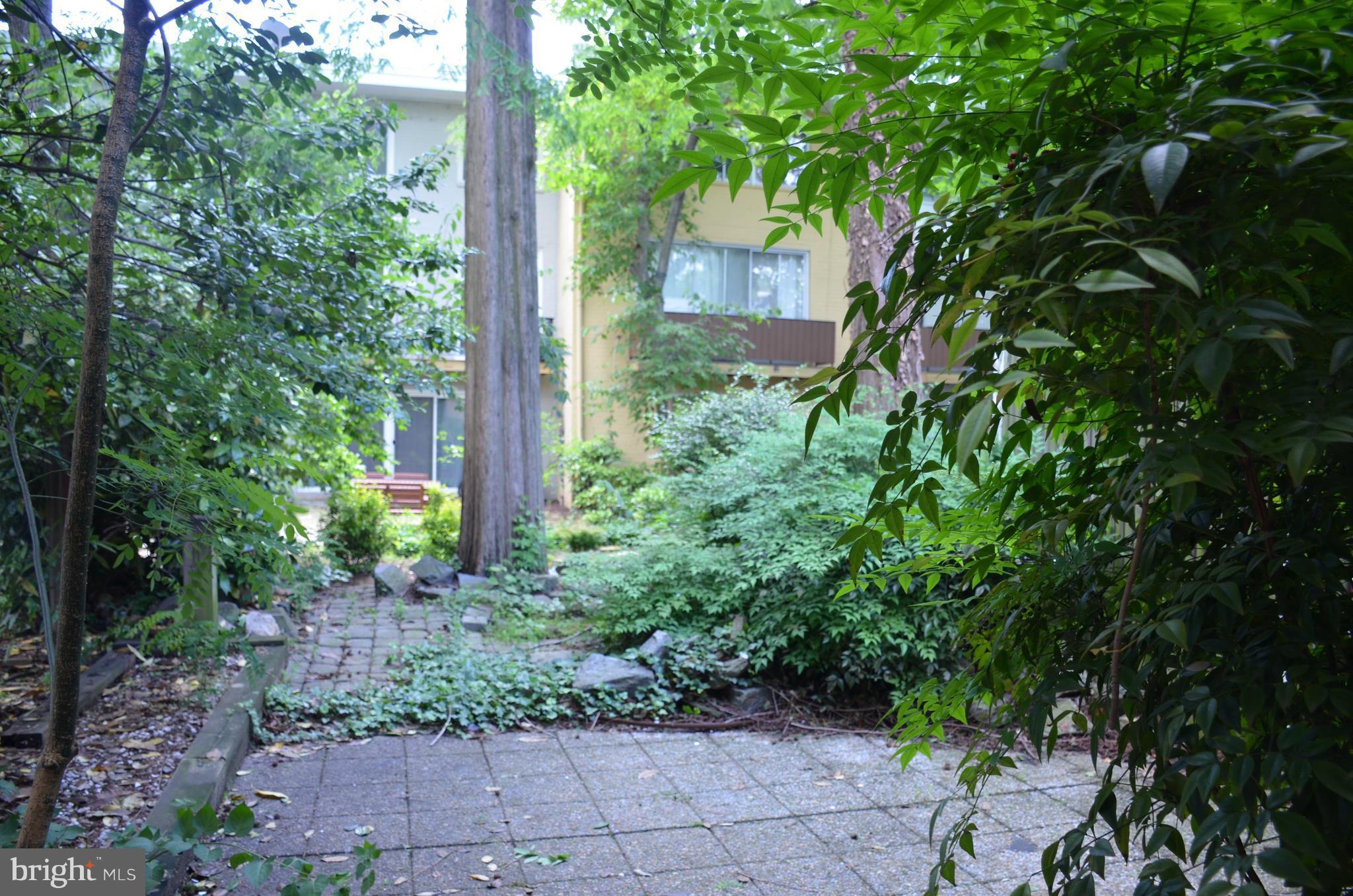 843 3rd Street Southwest, Unit 302 Washington, DC 20024 - Photo 14 of 30 Exterior (Rear)