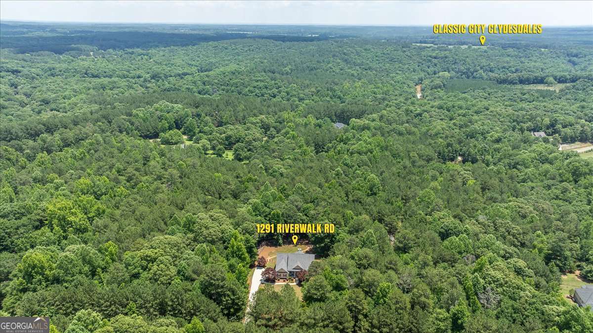 1291 Riverwalk Road Bishop, GA 30621 - Photo 63 of 67