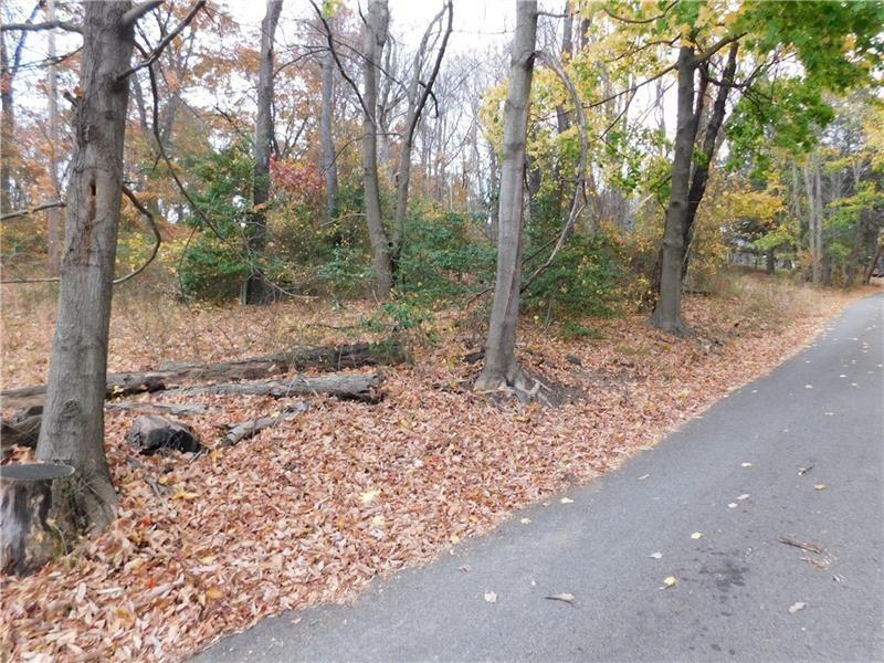 235 Maple Lane Hopwood, PA 15445 - Photo 4 of 8 a view of a forest filled with trees