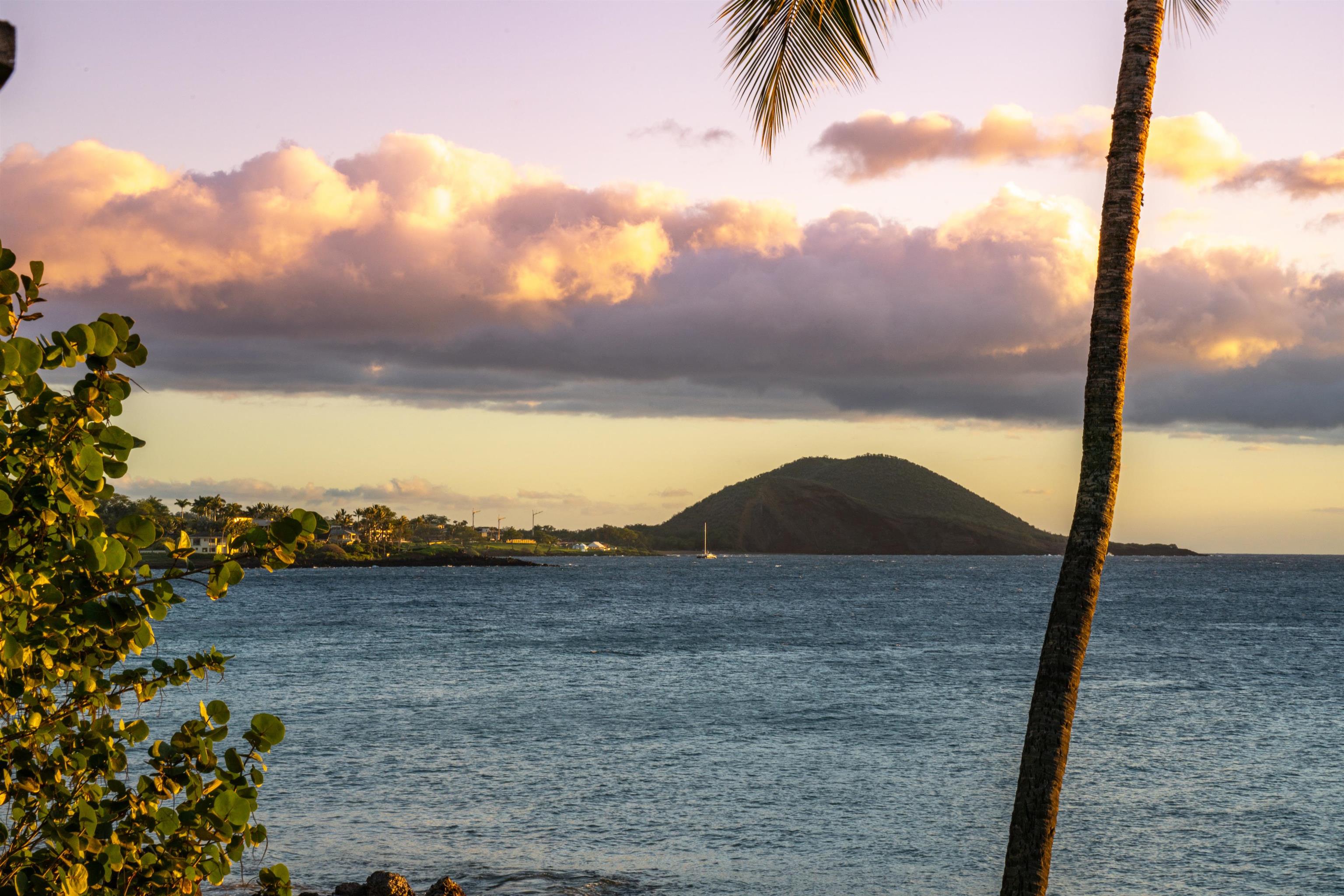 4584 Makena Road Kihei, HI 96753 - Photo 26 of 30 a view of ocean with a palm tree