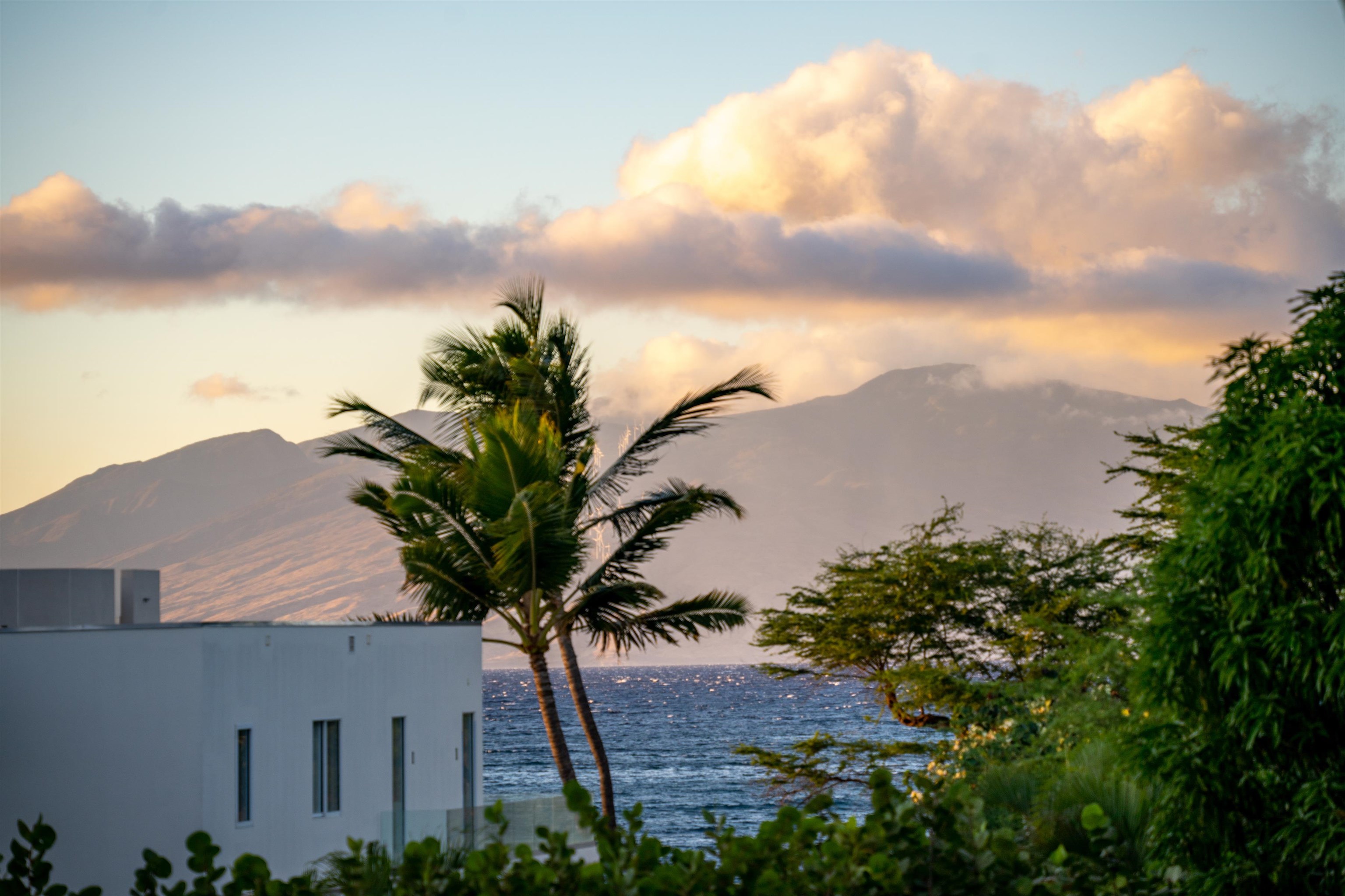 4584 Makena Road Kihei, HI 96753 - Photo 28 of 30 a view of a house with a garden