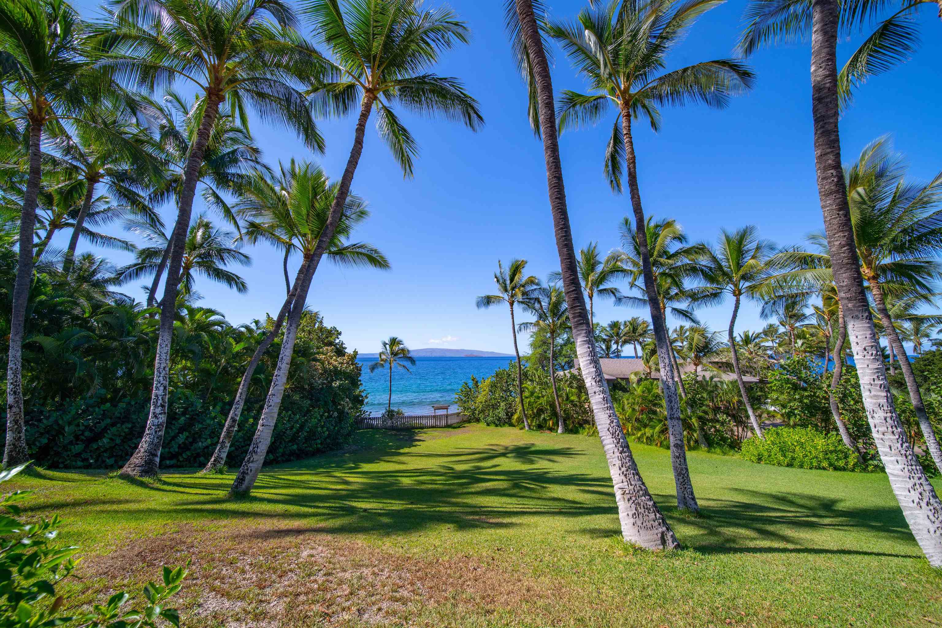 4584 Makena Road Kihei, HI 96753 - Photo 9 of 30 a view of a palm trees in a park