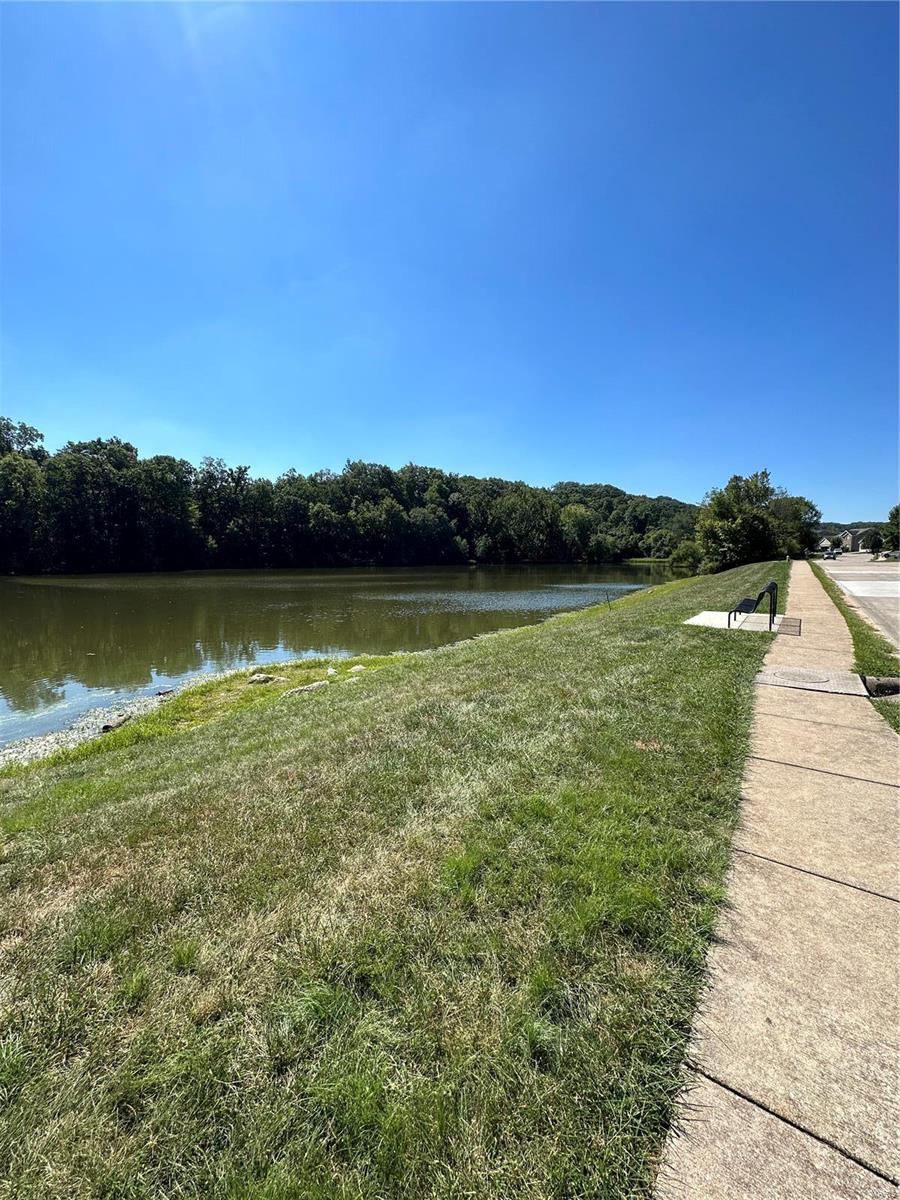 907 Palomino Path High Ridge, MO 63049 - Photo 58 of 60