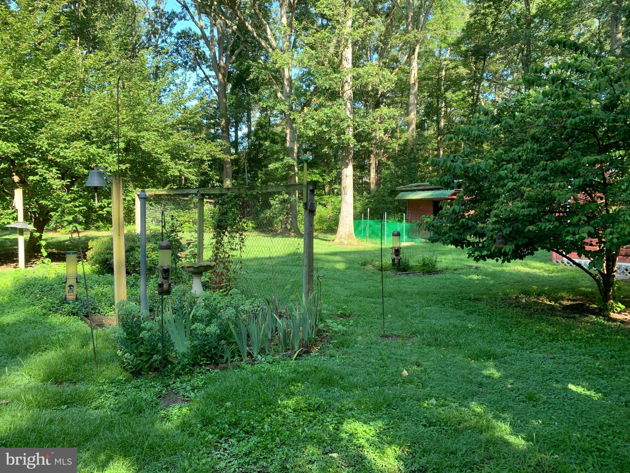 23710 Sparks Road Ridgely, MD 21660 - Photo 24 of 32 Backyard