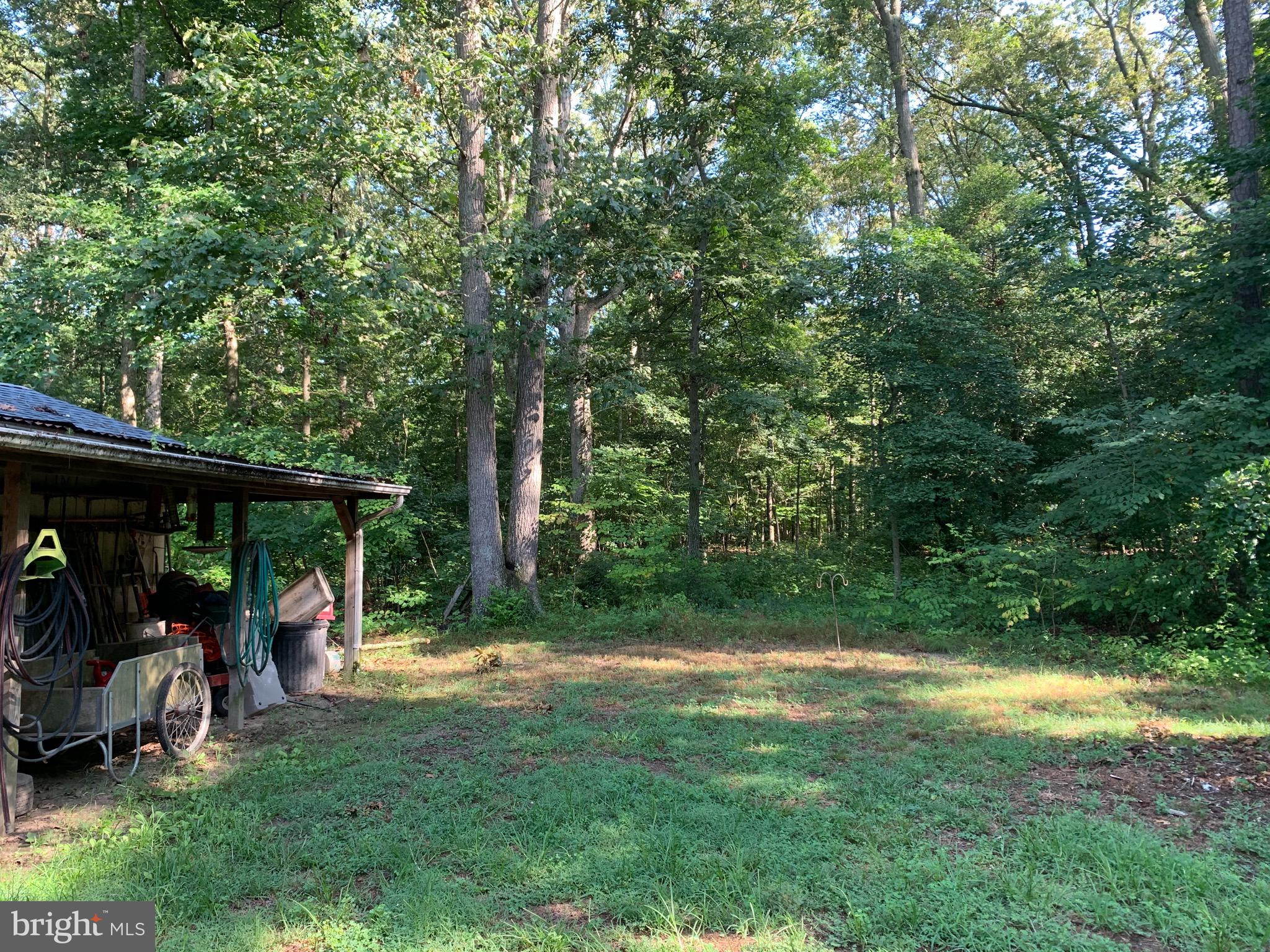 23710 Sparks Road Ridgely, MD 21660 - Photo 26 of 32 Shed