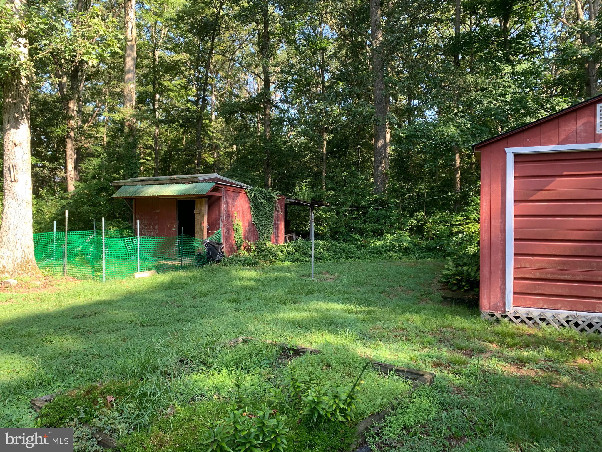 23710 Sparks Road Ridgely, MD 21660 - Photo 28 of 32 Out buildings
