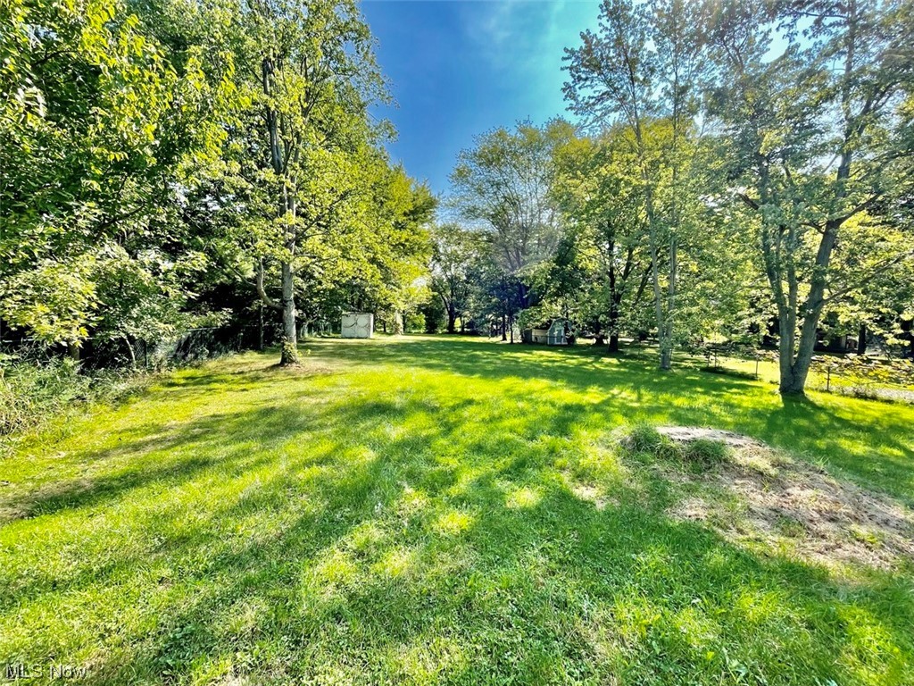 10029 Webster Road Strongsville, OH 44136 - Photo 4 of 10 View of yard
