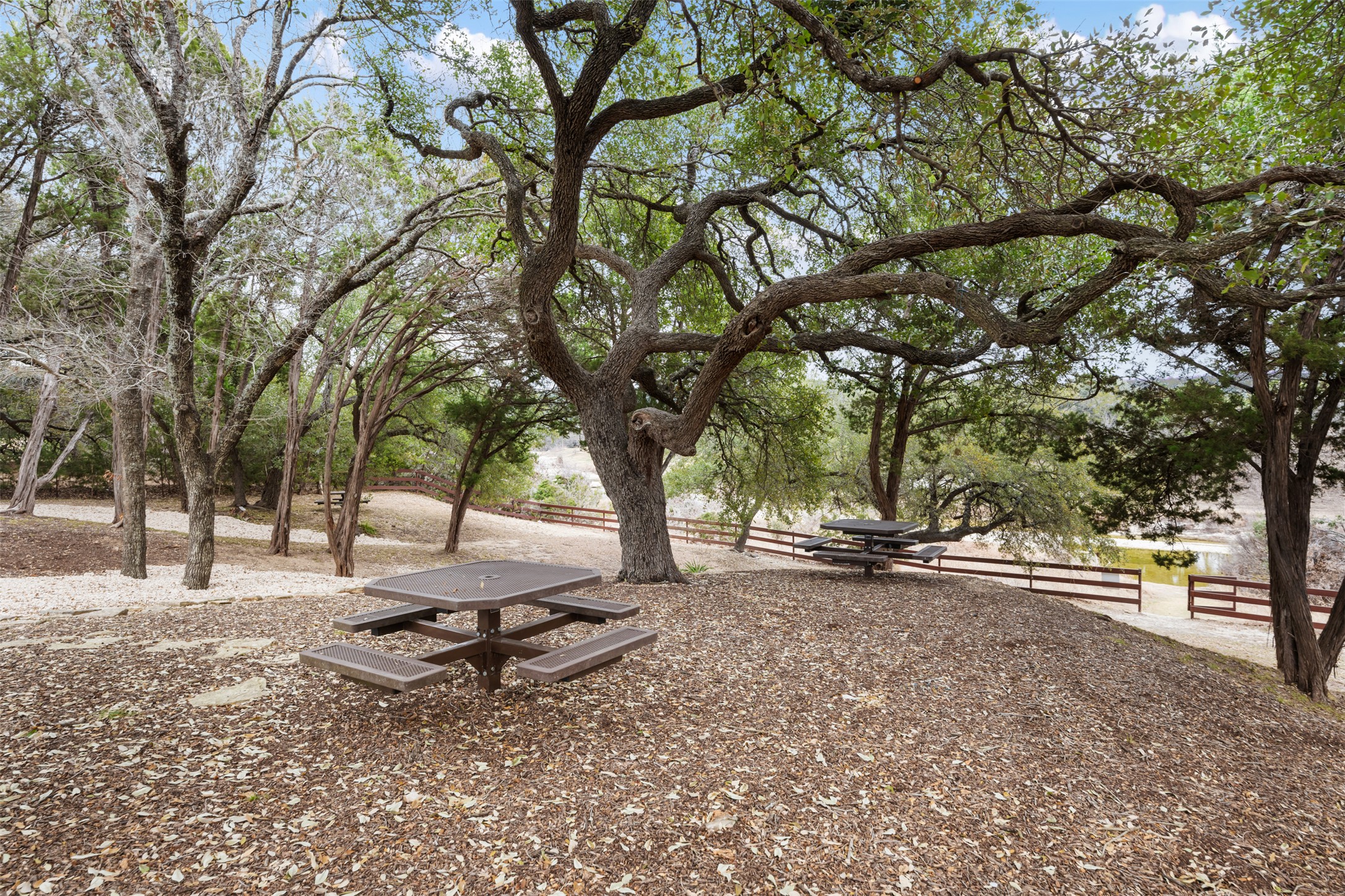 408 Ridge View Drive Georgetown, TX 78628 - Photo 21 of 23