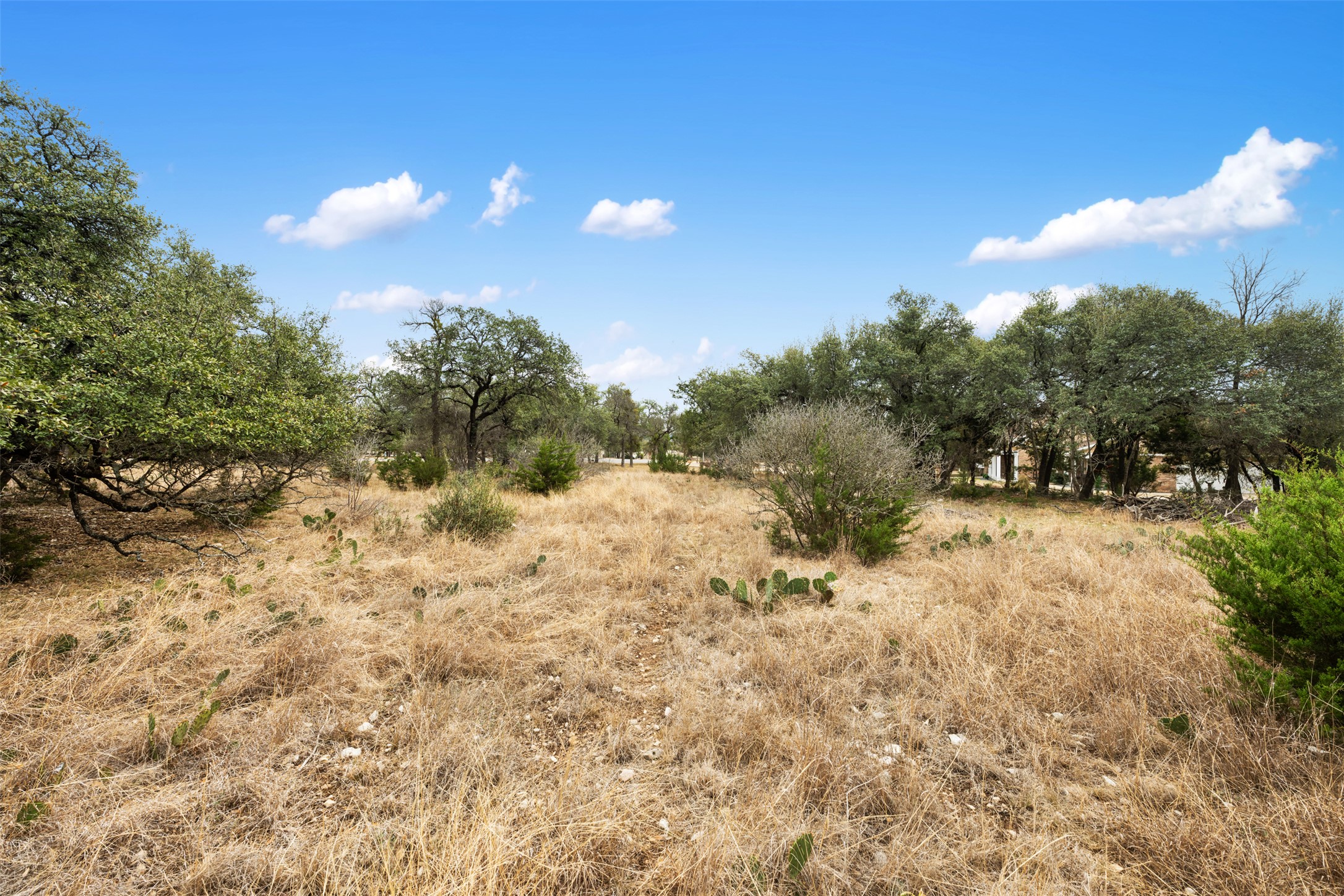 408 Ridge View Drive Georgetown, TX 78628 - Photo 3 of 23
